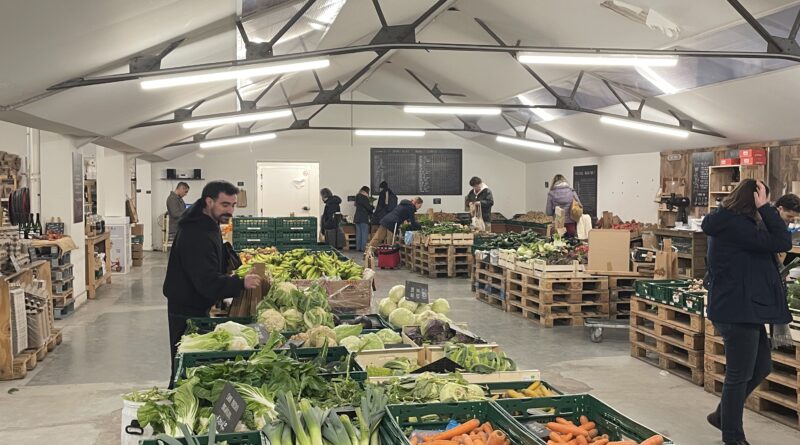 Les chaînes de magasins bio : engagement ou argument marketing ?